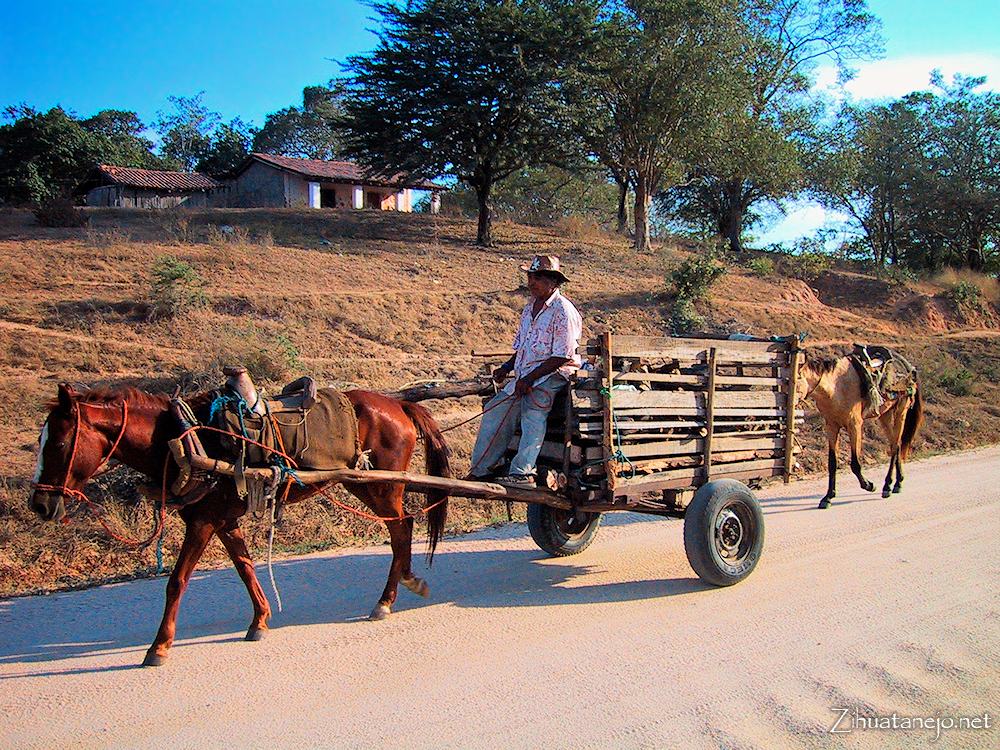 La vida r&uacute;stica