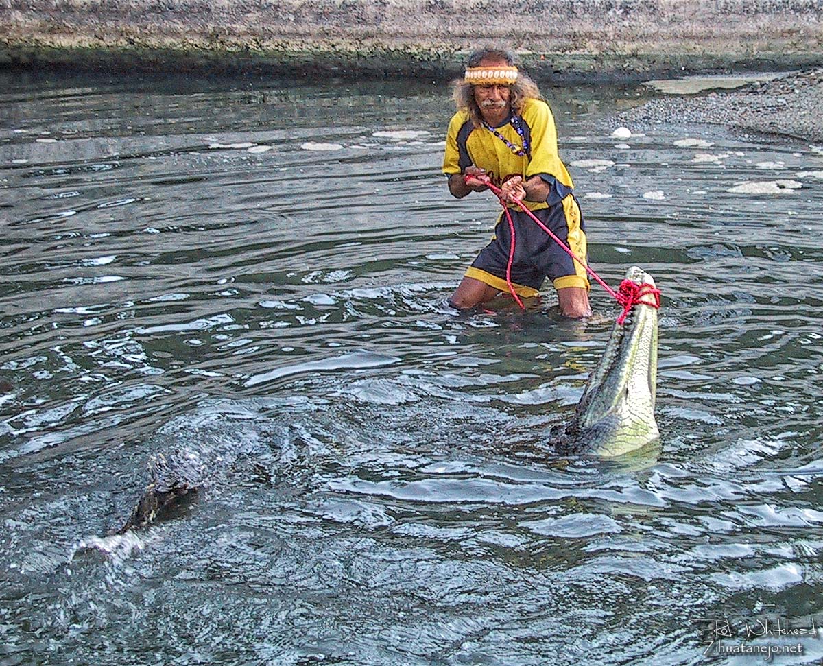 Tamak&uacute;n atrapa un cocodrilo, Zihuatanejo