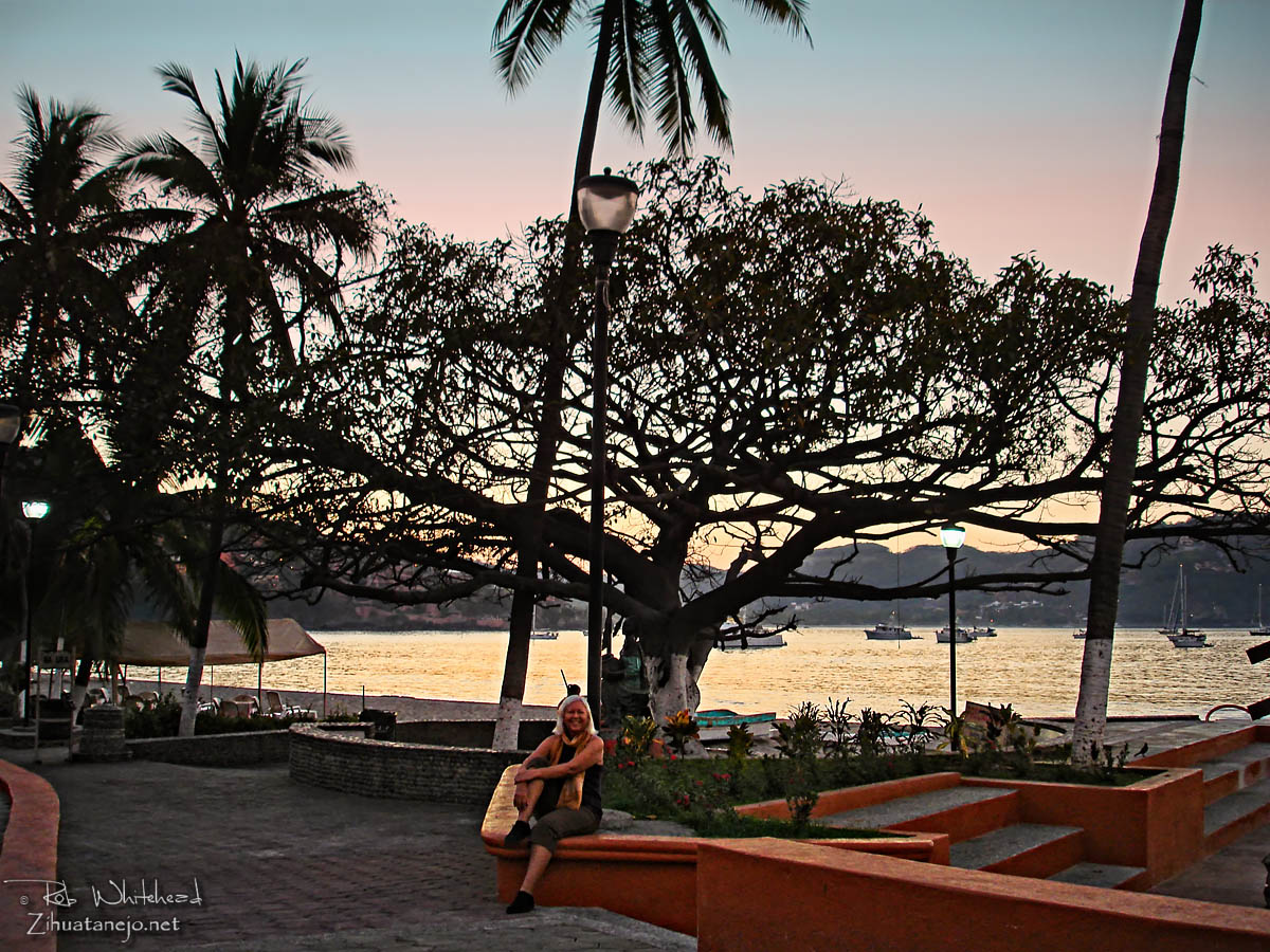 Lupita bajo el &aacute;rbol amate en el z&oacute;calo, Zihuatanejo