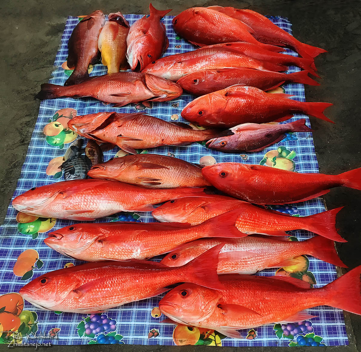 Huachinango en el mercado de los pescadores, Zihuatanejo