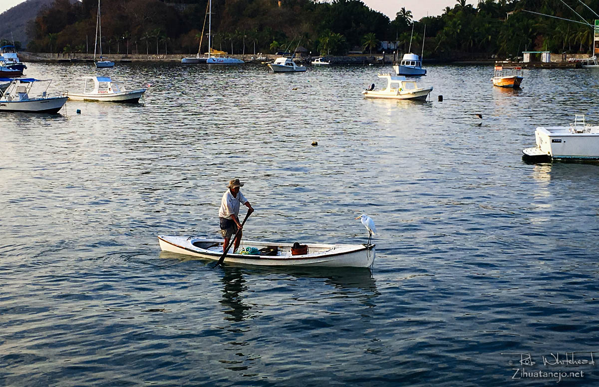 Pescador en canoa con garza blanca, Zihuatanejo