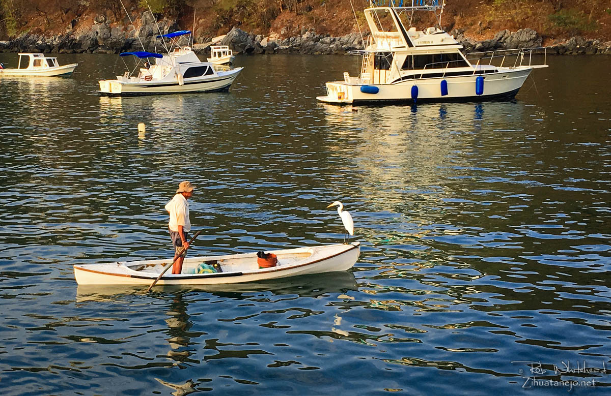 Pescador en canoa con garza blanca, Zihuatanejo