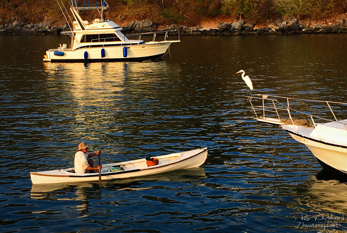 Pescador en canoa con garza blanca, Zihuatanejo