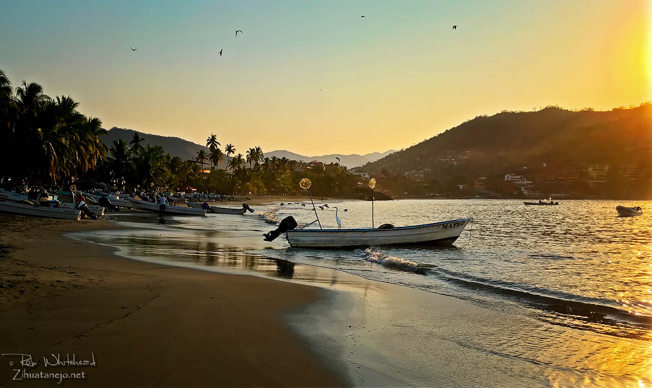 Pangas en Playa Principal, Zihuatanejo
