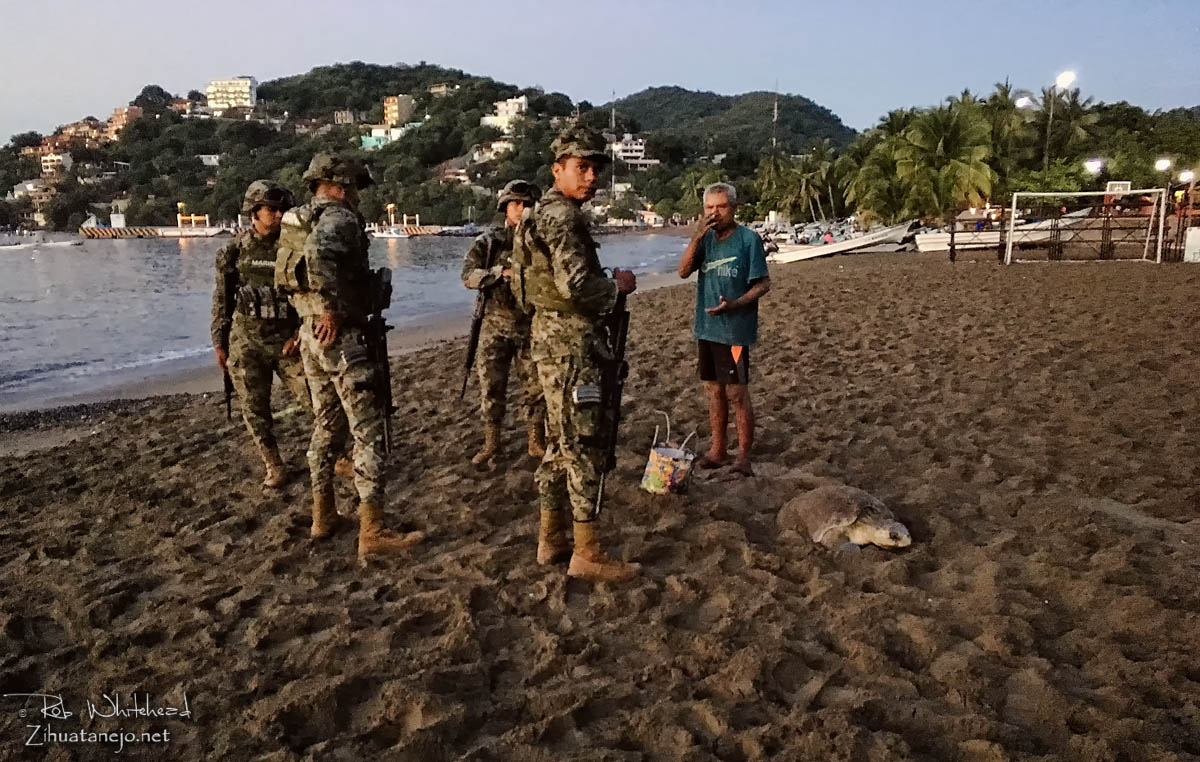 Tortuga marina y marinos, Zihuatanejo